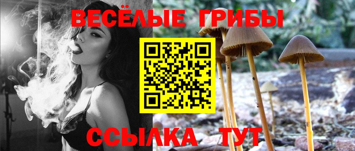Псилоцибиновые грибы мицелий Кохма